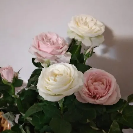 アパート Casa Anto'